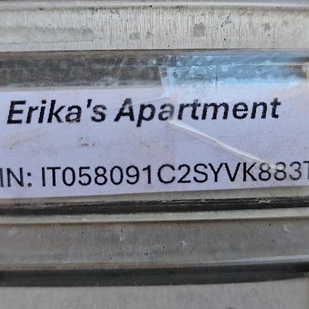 Erika'S Apartment روما المظهر الخارجي الصورة